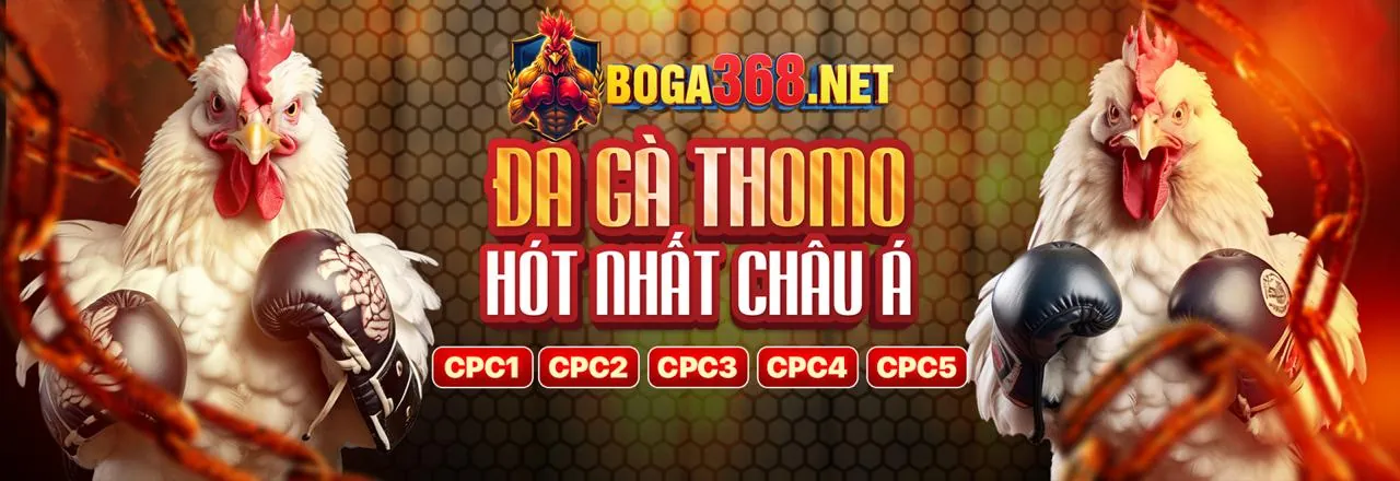 Tải ứng dụng Baowin trên điện thoại